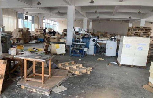 溫州富婆10年付出600萬包養男友，卻遭拳擊身亡，愛與背叛的警示