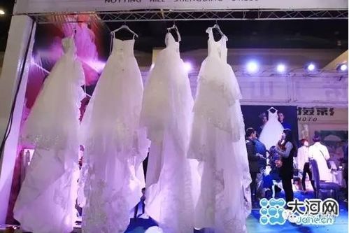 鄭州婚介市場亂象調查 用戶資產隨意填，個人信息無隱私保護