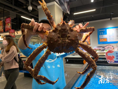 探營(yíng)盒馬佛山店 二線城市首店落地，本地化策略打造鮮活粵式消費(fèi)新體驗(yàn)